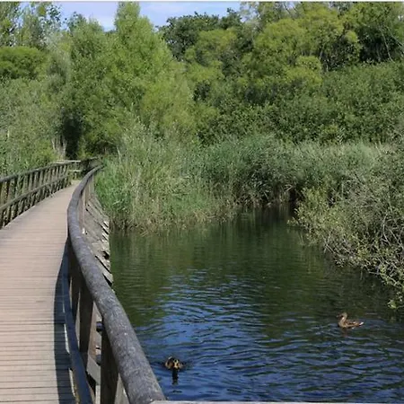 Apartamento Ferienresidenz 